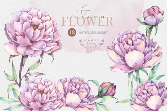 Download Peony Moody Floral Watercolor Clipart - Moody floral Collection