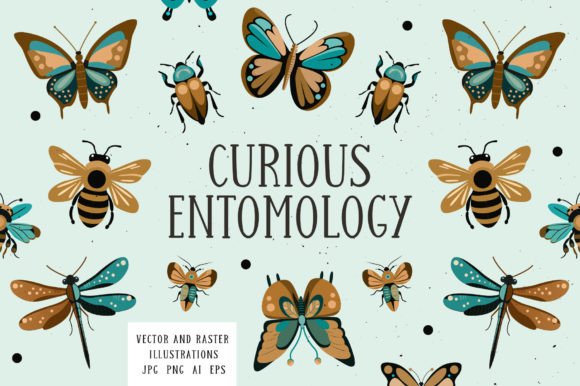 Download Curious Entomology Collection - Curious Collection